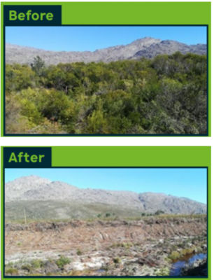 Before and After water project South A